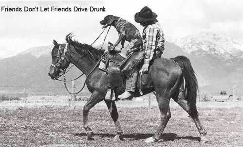 Can You Get a Dui on a Horse in Idaho